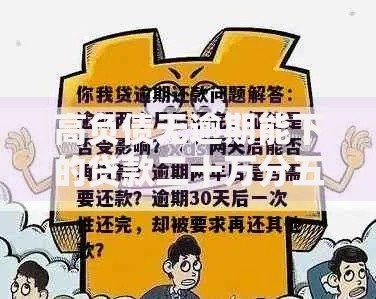 高负债无逾期能下的贷款二十万分五年还吗？申请条件与方案解析