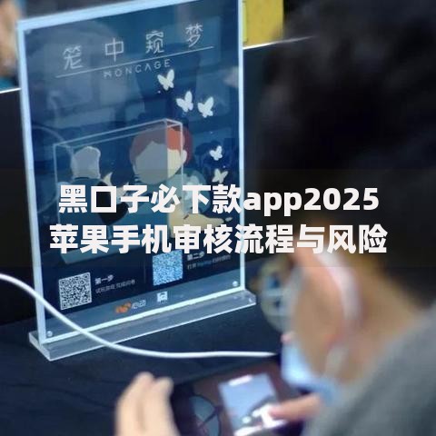 黑口子必下款app2025苹果手机审核流程与风险解析