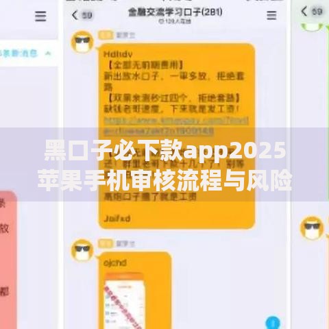 黑口子必下款app2025苹果手机审核流程与风险解析