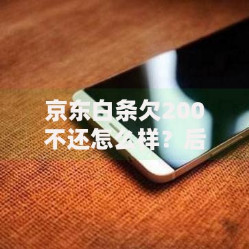 京东白条欠200不还怎么样？后果、处理方式全解析