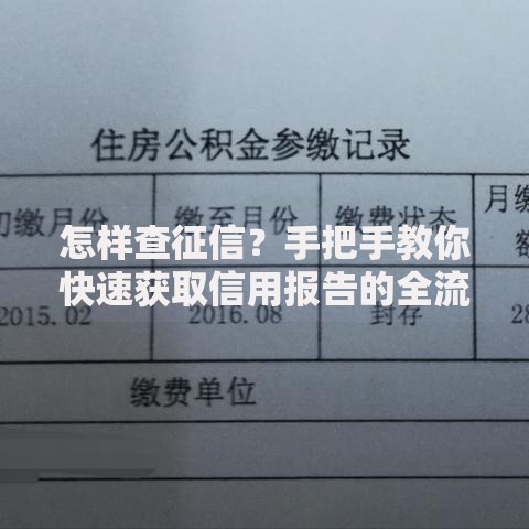 怎样查征信？手把手教你快速获取信用报告的全流程解析