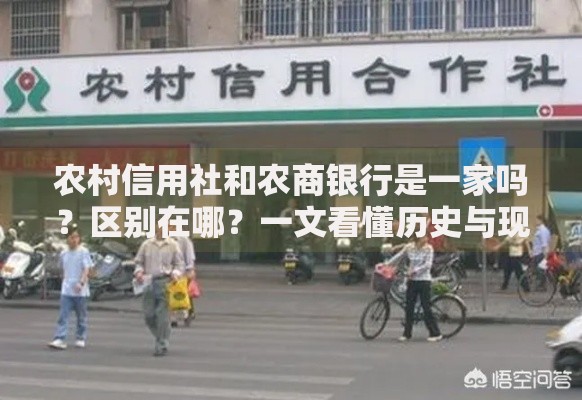 农村信用社和农商银行是一家吗?区别在哪?一文看懂历史与现状 农村信用社和农商银行是一家吗?区别在哪?一文看懂历史与现状