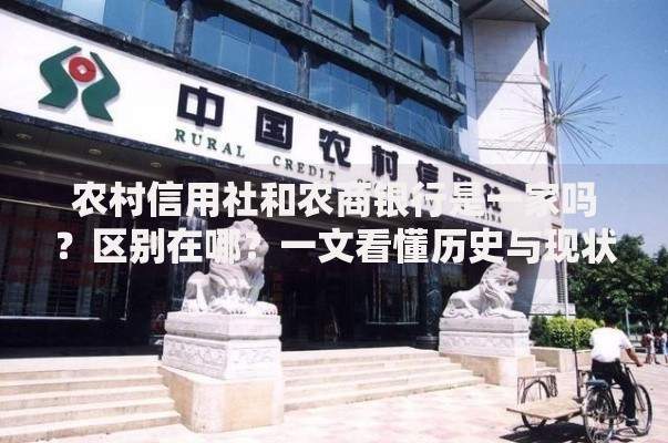农村信用社和农商银行是一家吗?区别在哪?一文看懂历史与现状 农村信用社和农商银行是一家吗?区别在哪?一文看懂历史与现状