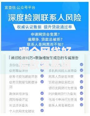 哪个网贷好借款容易通过？精选平台解析与申请攻略