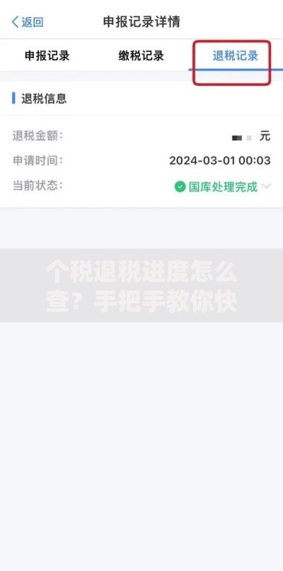 个税退税进度怎么查？手把手教你快速追踪流程