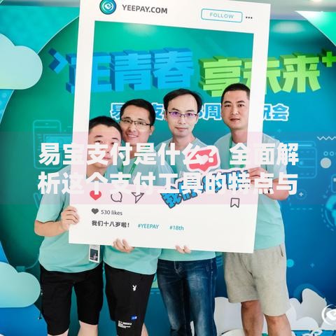 易宝支付是什么？全面解析这个支付工具的特点与使用场景