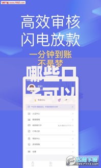 哪些口子可以申请贷款？主流渠道与申请条件全解析