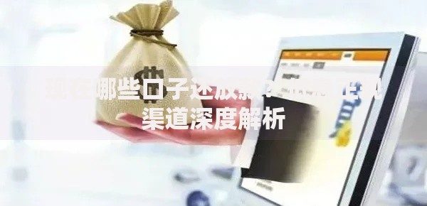 现在哪些口子还放款？低息正规渠道深度解析