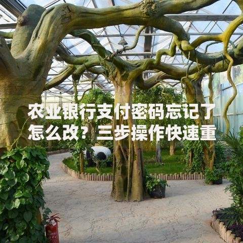 农业银行支付密码忘记了怎么改？三步操作快速重置指南