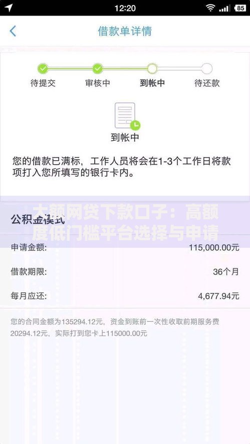 大额网贷下款口子：高额度低门槛平台选择与申请攻略