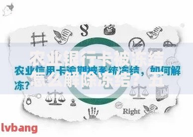 农业银行卡被冻结怎么解除冻结？五步操作指南请收好