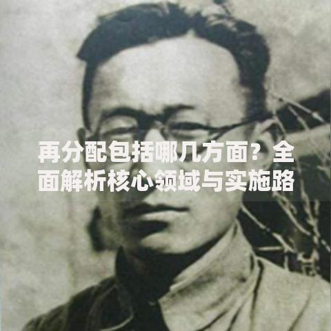再分配包括哪几方面？全面解析核心领域与实施路径