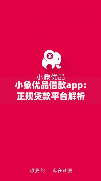 小象优品借款app：正规贷款平台解析与使用指南