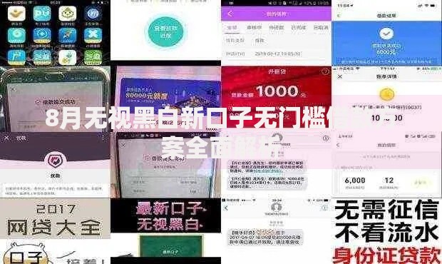 8月无视黑白新口子无门槛借款方案全面解析