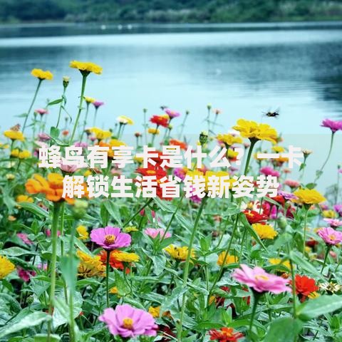 蜂鸟有享卡是什么？一卡解锁生活省钱新姿势