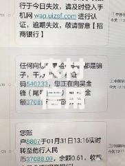 农村信用社如何查定期？这几种方法超实用！