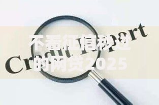 不看征信秒过的网贷2025：最新审核流程与风险解析