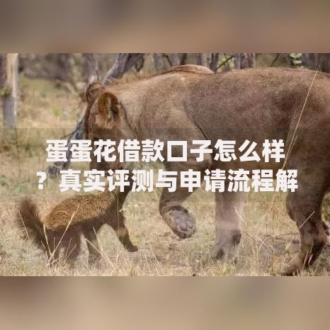 蛋蛋花借款口子怎么样？真实评测与申请流程解析