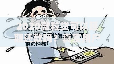 2020微粒贷可以延期还款吗？真实用户经验与实用建议