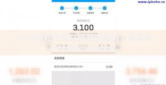 2020微粒贷可以延期还款吗？真实用户经验与实用建议