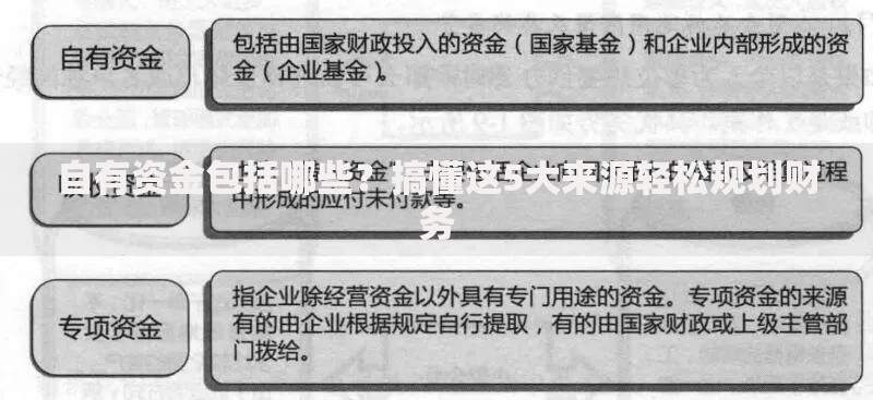 自有资金包括哪些?搞懂这5大来源轻松规划财务 自有资金包括哪些?搞懂这5大来源轻松规划财务
