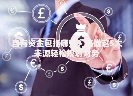 自有资金包括哪些?搞懂这5大来源轻松规划财务 自有资金包括哪些?搞懂这5大来源轻松规划财务