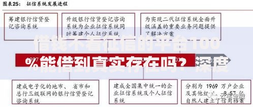 借钱不看征信的平台100%能借到真实存在吗？深度解析