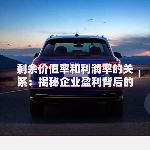 剩余价值率和利润率的关系：揭秘企业盈利背后的隐藏逻辑