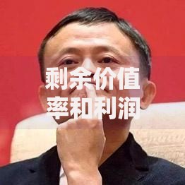 剩余价值率和利润率的关系：揭秘企业盈利背后的隐藏逻辑