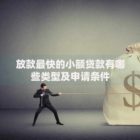 放款最快的小额贷款有哪些类型及申请条件