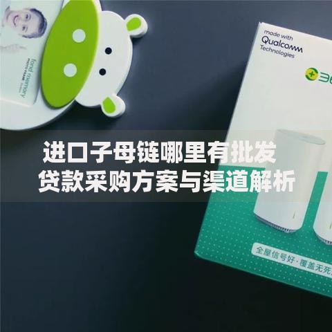 进口子母链哪里有批发  贷款采购方案与渠道解析