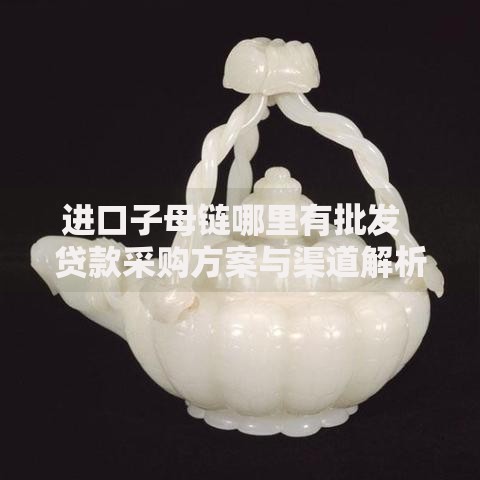 进口子母链哪里有批发  贷款采购方案与渠道解析