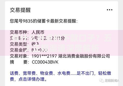 有什么好点的下款口子？五大正规渠道深度解析