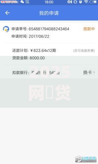 2025网黒贷款口子如何规避风险并快速申请？