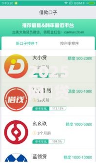 2025网黒贷款口子如何规避风险并快速申请？