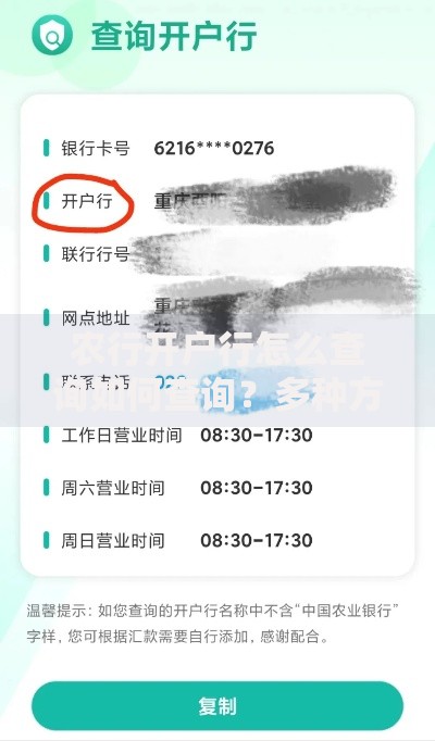 农行开户行怎么查询如何查询?多种方法教你快速搞定 农行开户行怎么查询如何查询?多种方法教你快速搞定