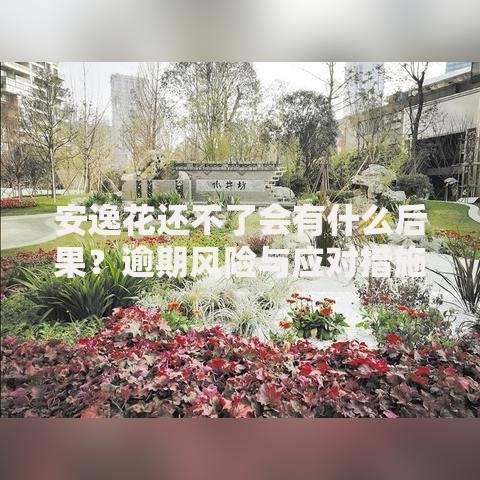 安逸花还不了会有什么后果？逾期风险与应对措施解析