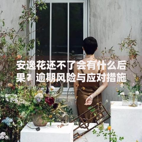 安逸花还不了会有什么后果？逾期风险与应对措施解析