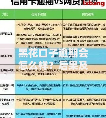 黑花口子逾期会怎么样？后果及应对措施全解析