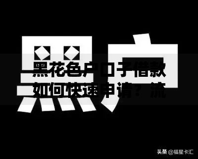 黑花色户口子借款如何快速申请？流程与风险解析