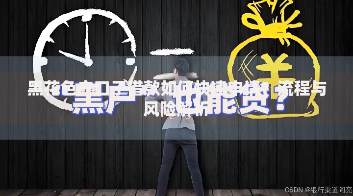 黑花色户口子借款如何快速申请？流程与风险解析