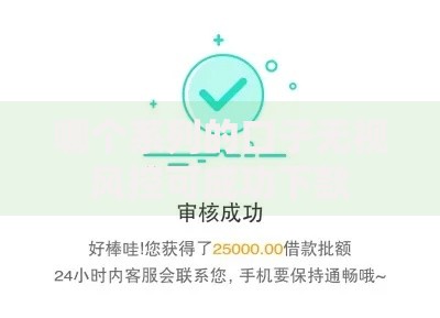 哪个系列的口子无视风控可成功下款