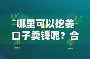 哪里可以挖姜口子卖钱呢？合法资金获取渠道深度解析