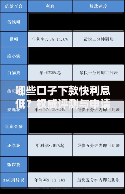 哪些口子下款快利息低？权威评测与申请攻略