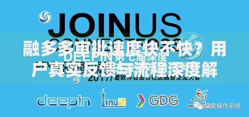 融多多审批速度快不快？用户真实反馈与流程深度解析