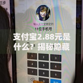 支付宝2.88元是什么？揭秘隐藏福利与使用妙招