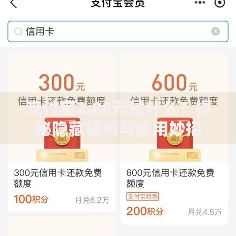 支付宝2.88元是什么？揭秘隐藏福利与使用妙招