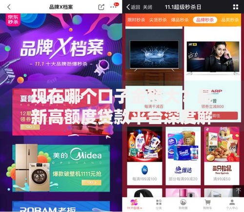 现在哪个口子金额大？最新高额度贷款平台深度解析