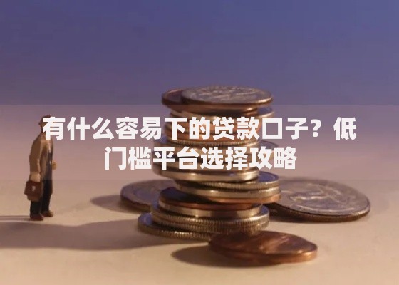 有什么容易下的贷款口子？低门槛平台选择攻略