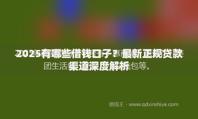 2025有哪些借钱口子？最新正规贷款渠道深度解析